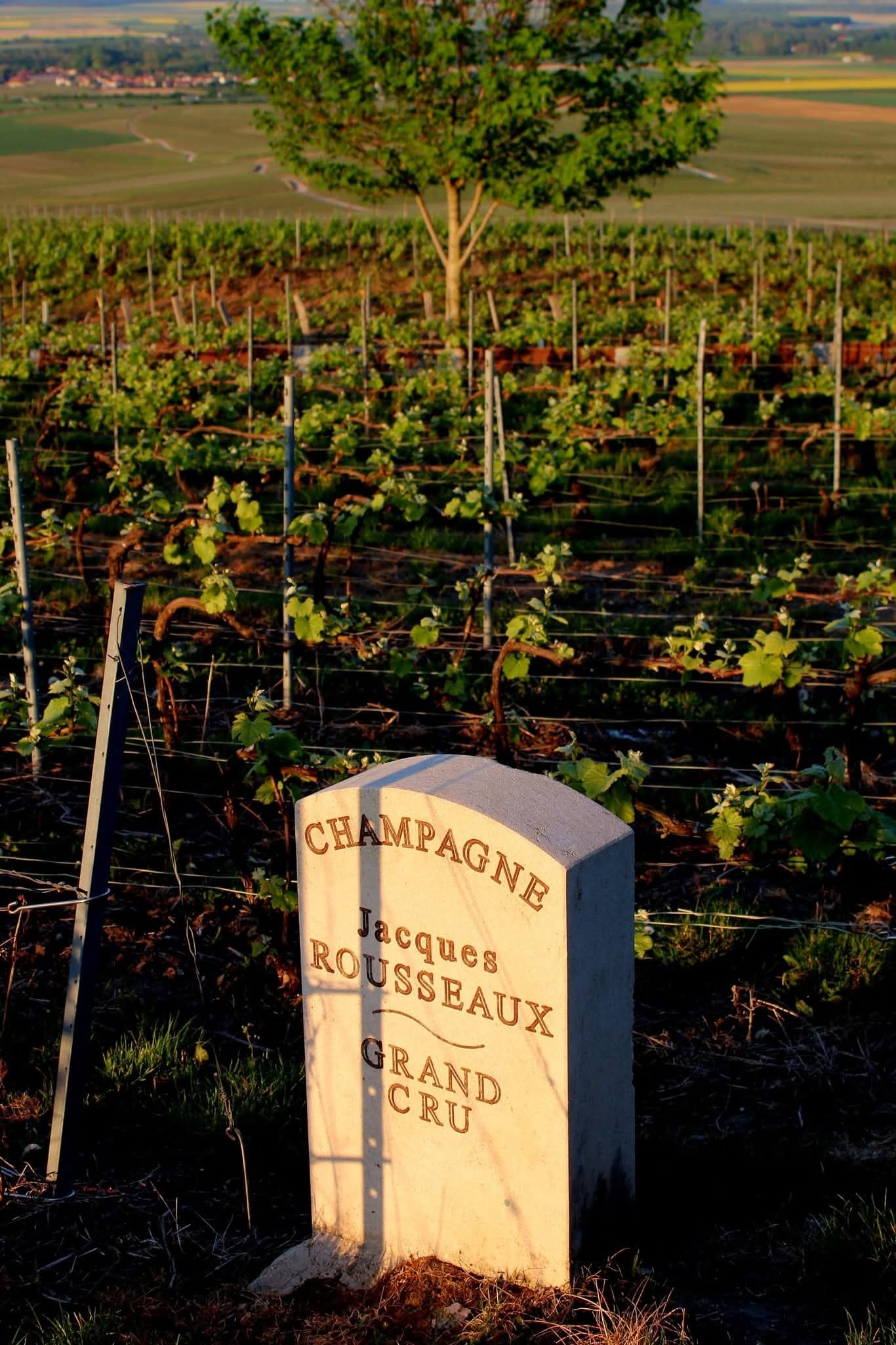 Collection L'ami qui soigne et guérit
La folie qui m'accompagne