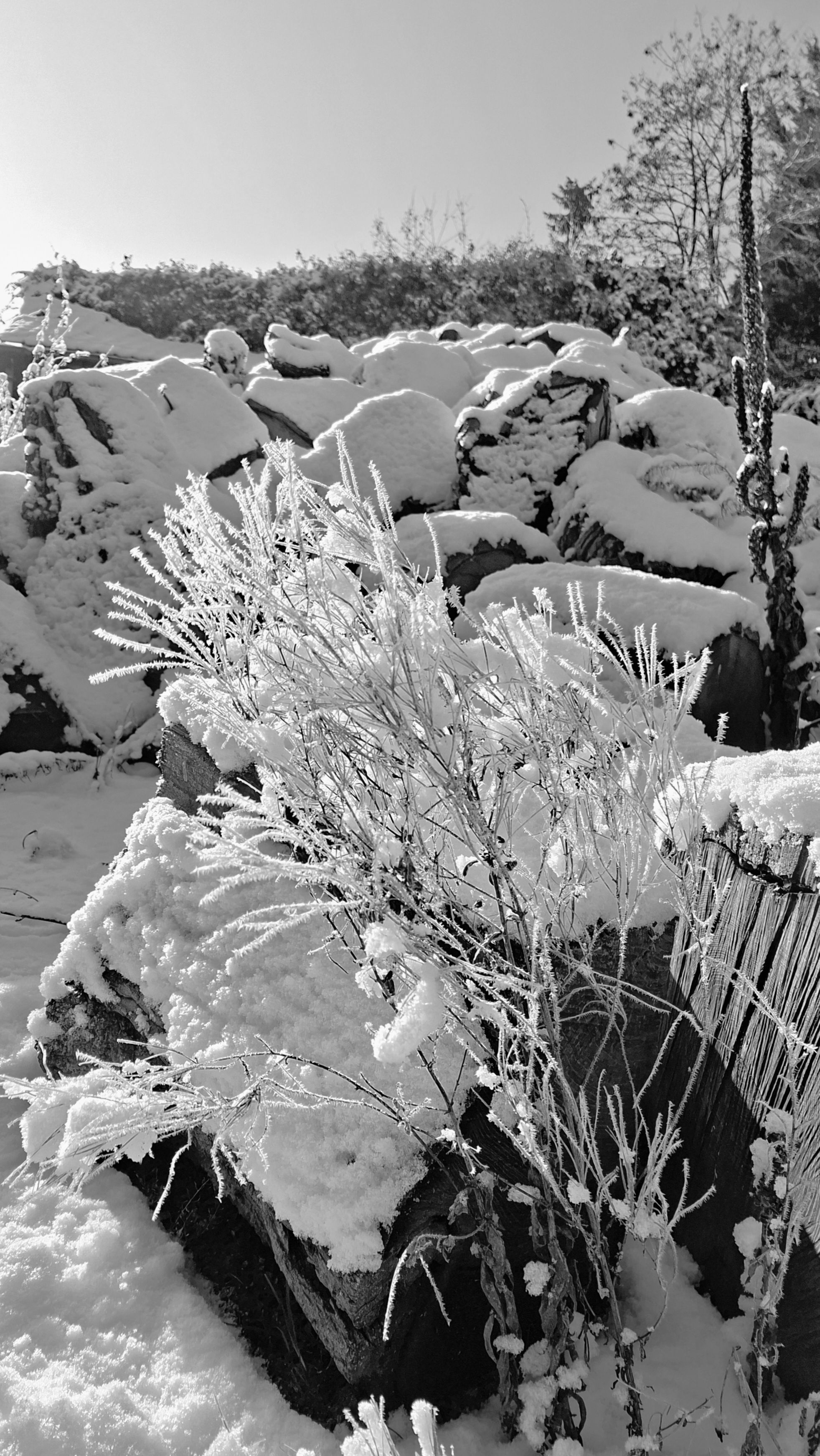 Collection Noir et blanc